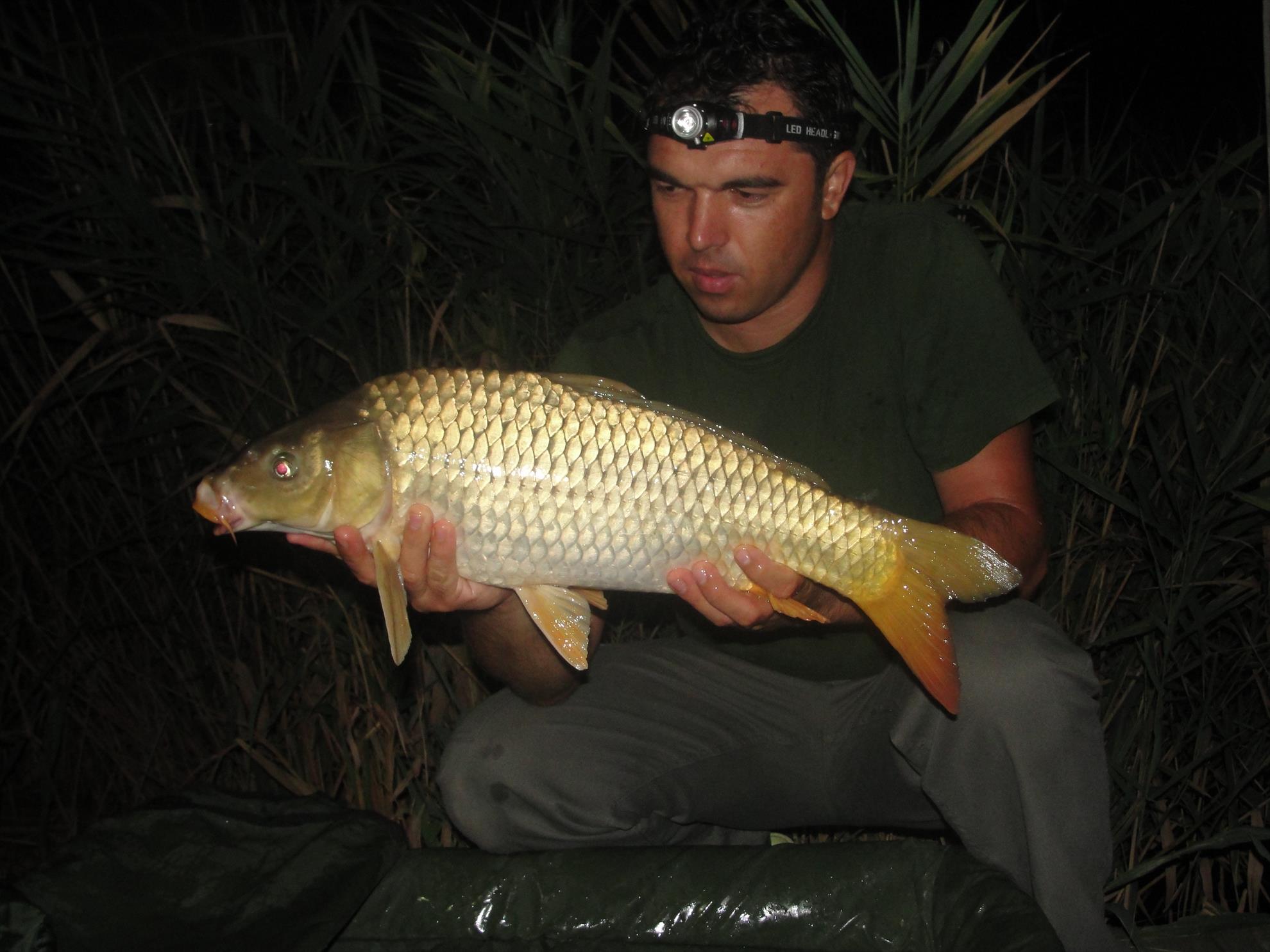 Magura 9 1 - 3 aug. - dsc01016.JPG